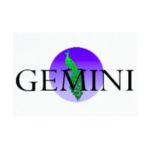 Client 10
